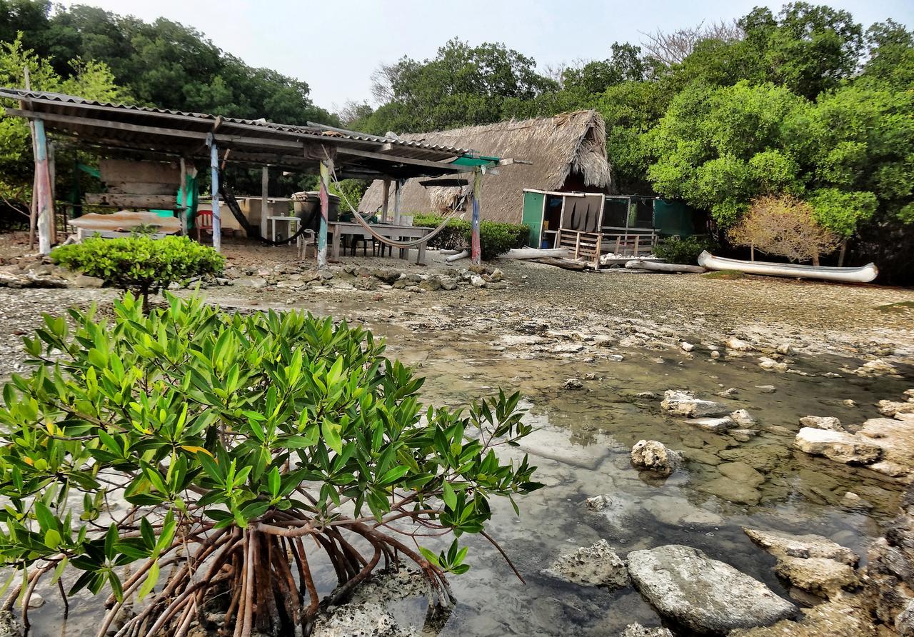 Ecohotel Arte Y Aventura Isla Grande  Exterior photo